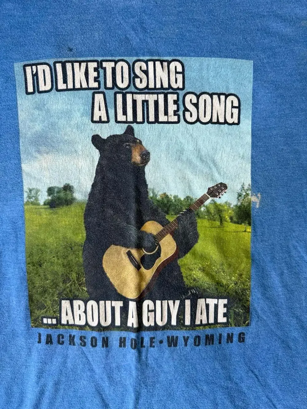 Jackson Hole Wyoming Bear Playing Guitar Graphic T-Shirt